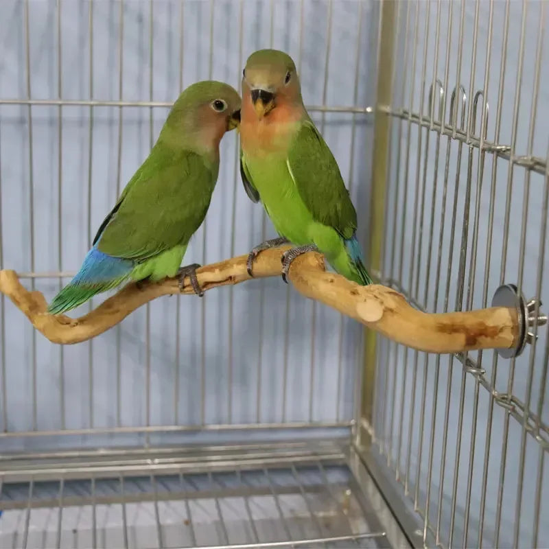 Natural Bird Perch Stand – Climbing & Paw Grinding Branch for Parrots