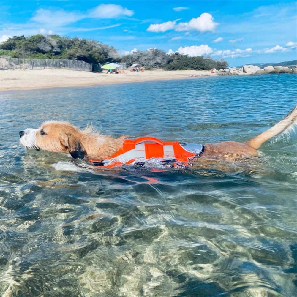 🐶 Dog Life Jacket with Handle & Pull Ring – Summer Safety Swimsuit for Small & Medium Dogs