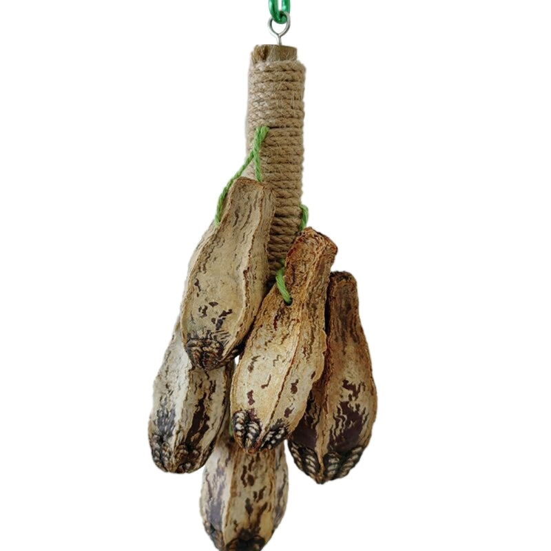 Colorful Hanging Parrot Bird Molar Toy – Chewable Bird Swing for Training and Beak Health