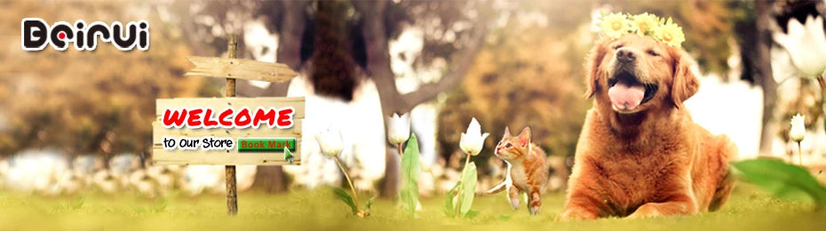 Soft Padded Leather Dog Collar – Durable Pet Necklace for Large Dogs