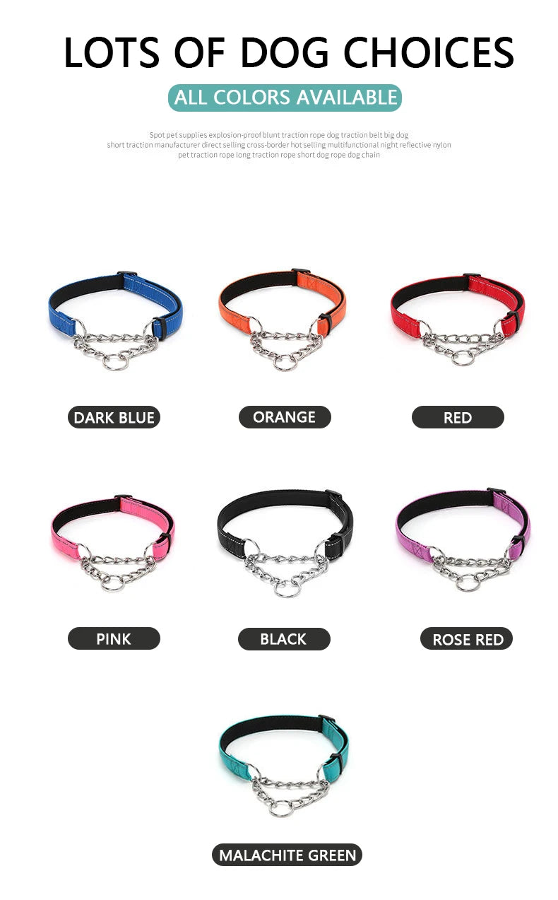 Reflective Martingale Dog Collar with Stainless Steel Chain – No Pull Training Collar for Small, Medium & Large Dogs