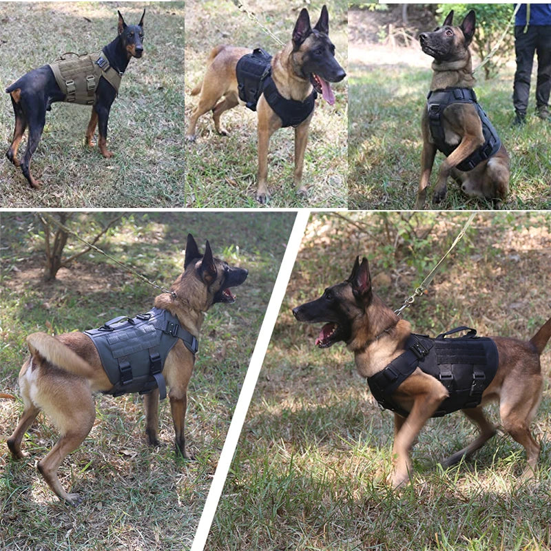 🐾 Tactical Military Dog Harness & Leash Set – All Breeds Training Vest for Outdoor Adventures