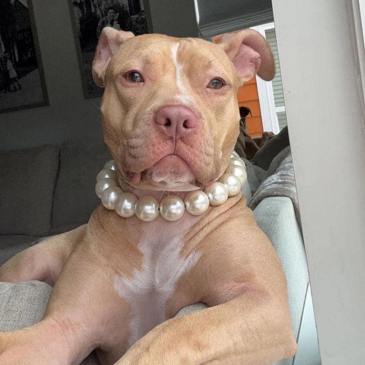 Elegant Imitation Pearl Pet Collar – Durable Decorative Necklace for Small Dogs & Cats