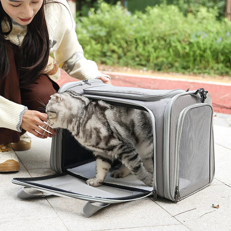 Portable Soft-Sided Pet Carrier Bag – Airline Approved Dog & Cat Travel Backpack for Outgoing Trips