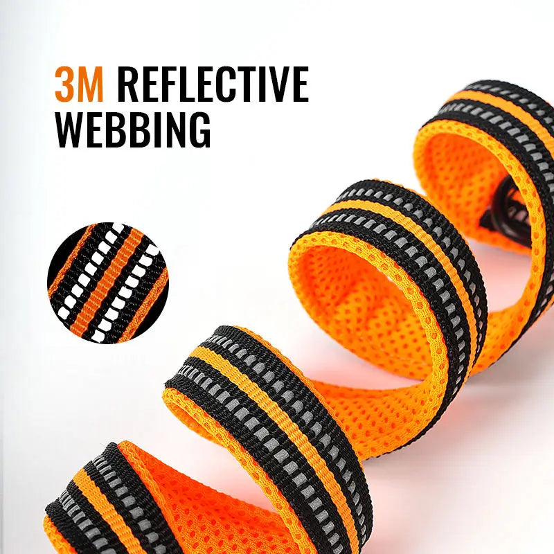 Truelove 7-in-1 Adjustable Multi-Function Dog Leash – Hands-Free, Reflective Training Lead for Walking 1 or 2 Dogs