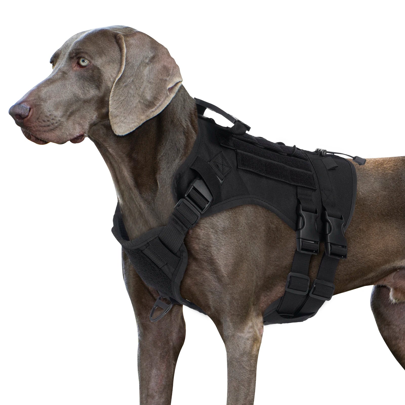🛡️ Tactical Chest Strap Dog Harness – Heavy-Duty Outdoor Control for Large Dogs 🐕