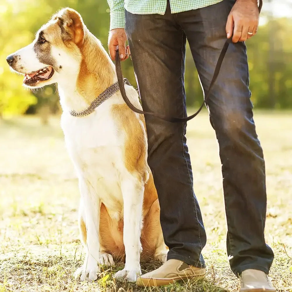 Genuine Leather Dog Leash – Braided Long Pet Walking & Training Lead for Medium & Large Dogs (Brown/Black)