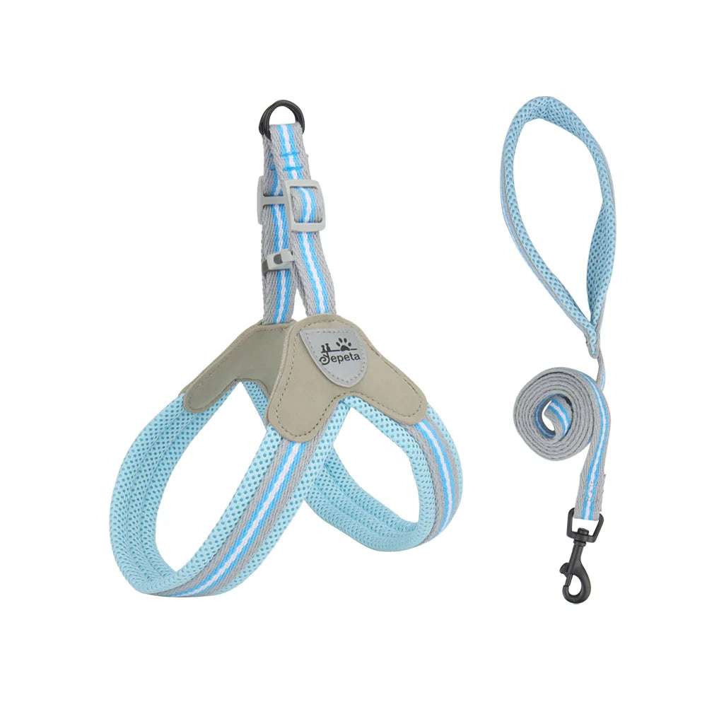 🐾 Vest Style Dog Harness & Leash Set – Adjustable Chest Strap for Small & Medium Dogs