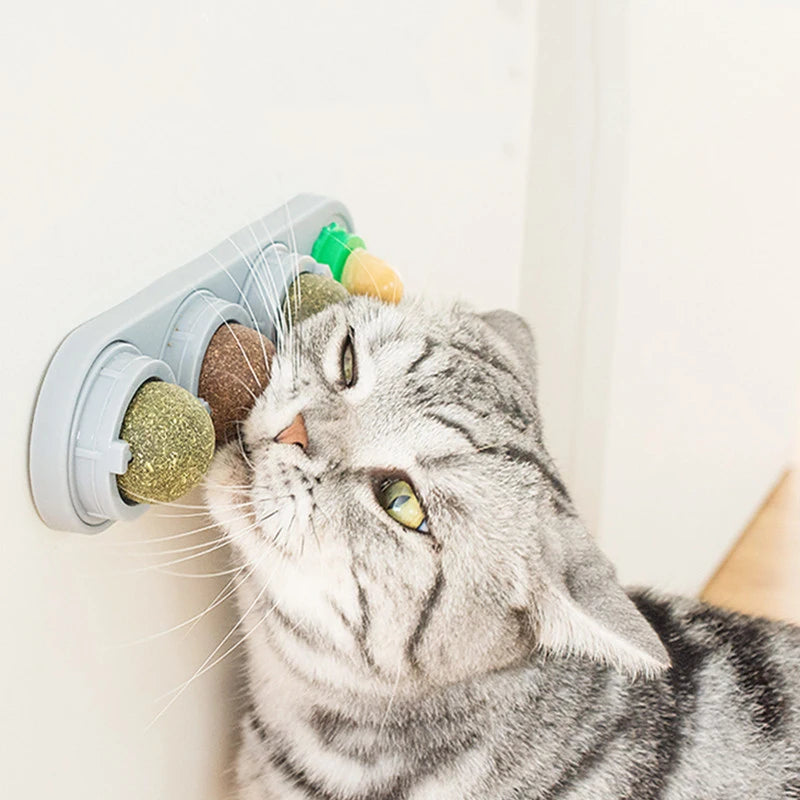 Catnip Silvervine Balls – Edible Wall Chew Toys for Dental & Energy Boost