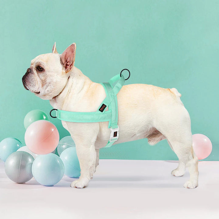 🐾 Soft No Pull Dog Harness – Padded Nylon Adjustable Vest