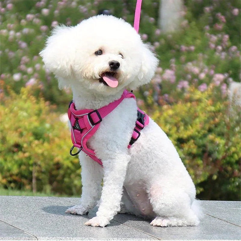 🐾 No Pull Dog Harness & Leash Set – Adjustable Reflective Vest for Small Dogs & Cats