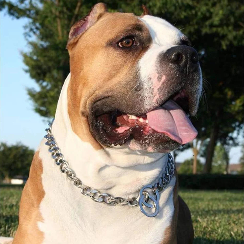 15MM Cuban Link Dog Chain Collar – Silvery/Golden Stainless Steel Training Slip Collar for Strong Dogs