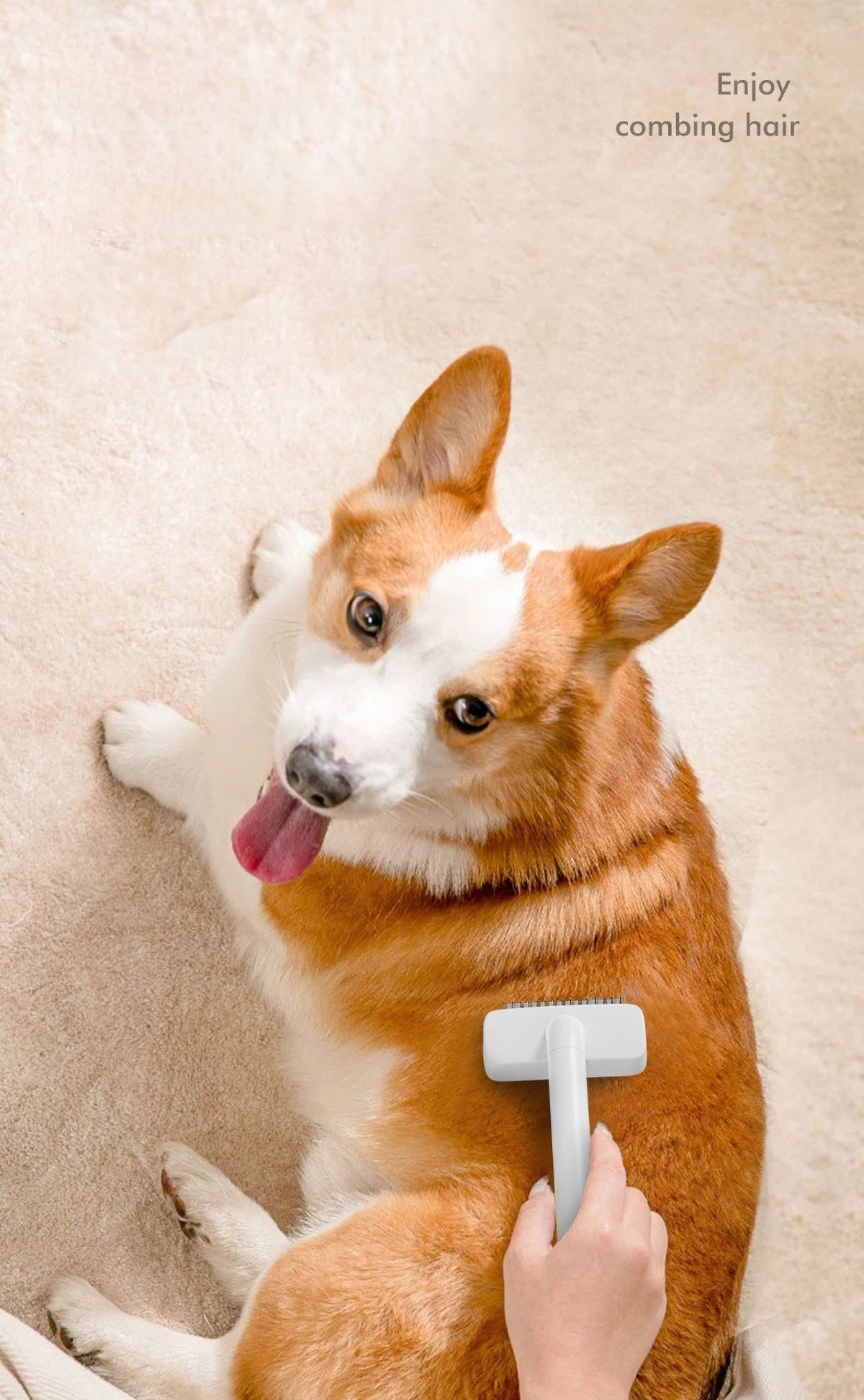 🐾 Stainless Steel Pet Comb with Rounded Knife Head – Gentle Grooming Tool for Dogs & Cats