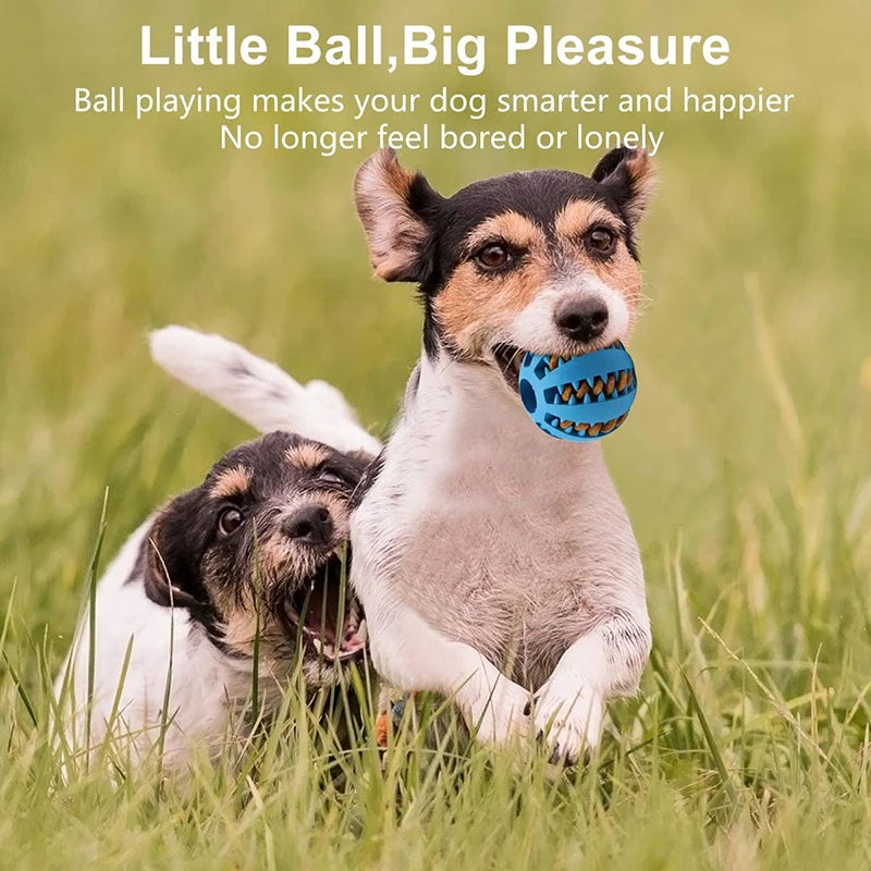 Rubber Dog Ball Toy – Interactive Chew & Treat Dispenser 🐾⚽