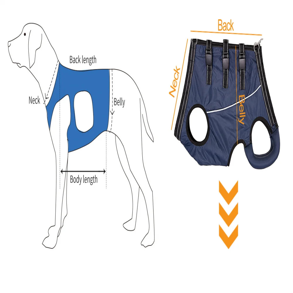 Dog Lift Harness Support Sling – Padded Aid for Disabled & Injured Dogs