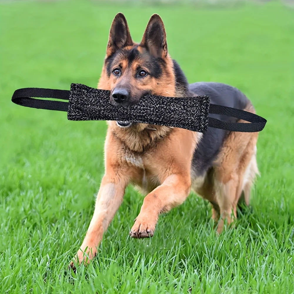 Indestructible Flying Saucer Dog Toy – Chew-Proof Rubber Ball for Aggressive Chewers, Interactive Outdoor Training Toy