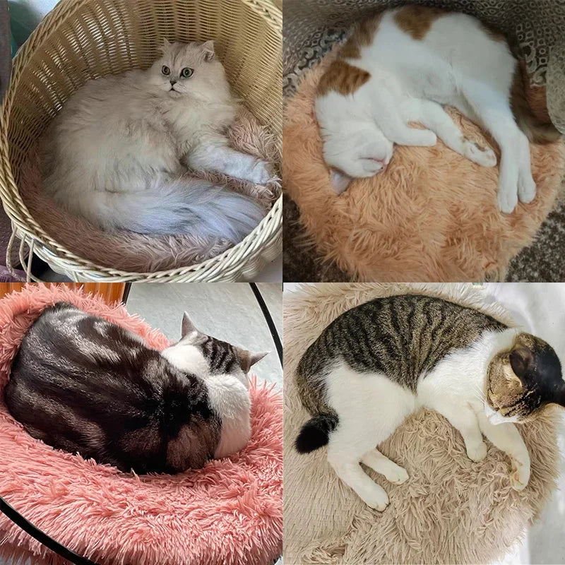 Soft Plush Round Cat Bed Mat – Cozy Fleece Sleeping Cushion for Cats & Small Dogs