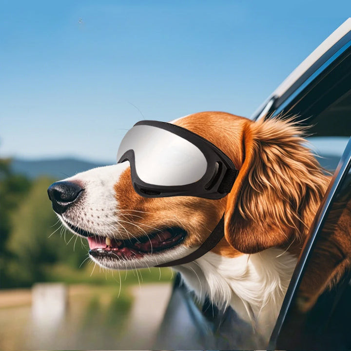 Dog Goggles – UV-Protective Windproof Sunglasses for Large Dogs