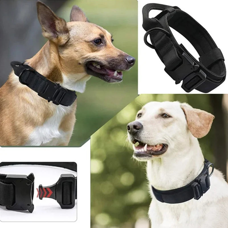 Adjustable Tactical Dog Collar & Traction Rope