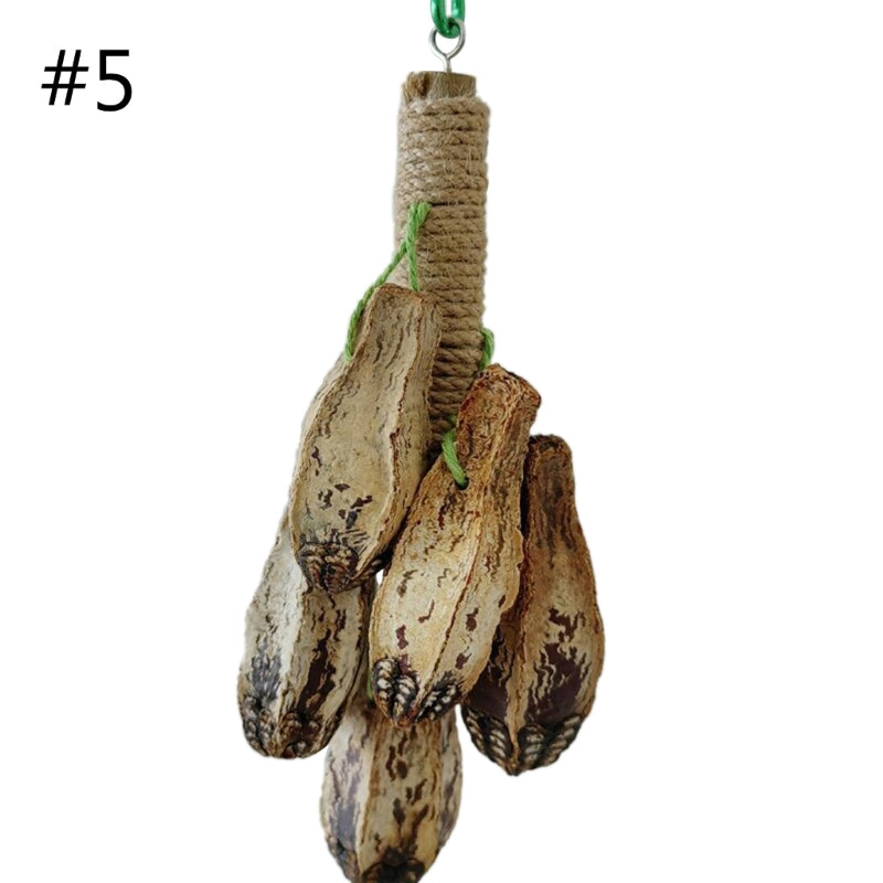 Colorful Hanging Parrot Bird Molar Toy – Chewable Bird Swing for Training and Beak Health