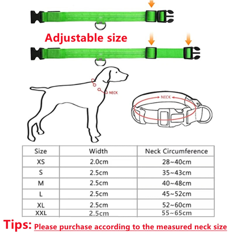 USB Rechargeable LED Glowing Pet Collar – Adjustable Night Light Safety Collar for Dogs & Cats