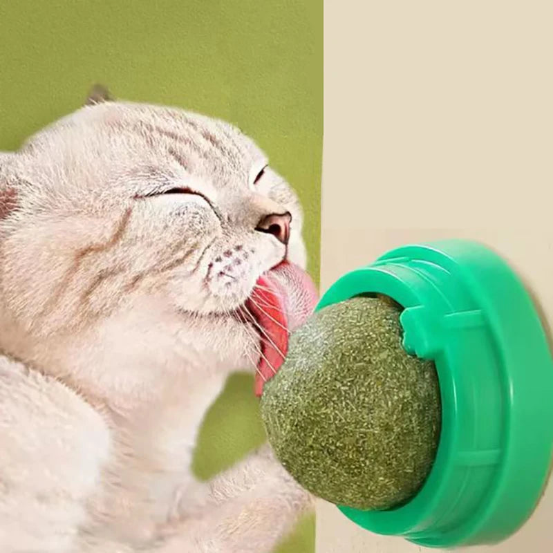 Catnip Wall Stick-On Ball Toy – Natural Cat Grass Treat for Digestion & Fun