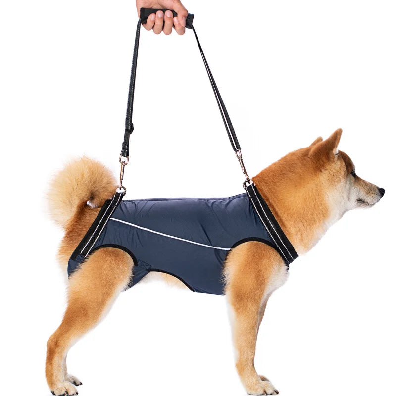 Dog Lift Harness Support Sling – Padded Aid for Disabled & Injured Dogs