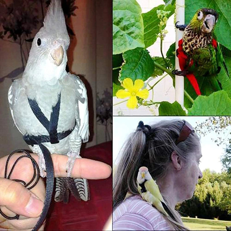 Bird Flying Training Leash – Anti-Bite Parrot Harness & Traction Rope