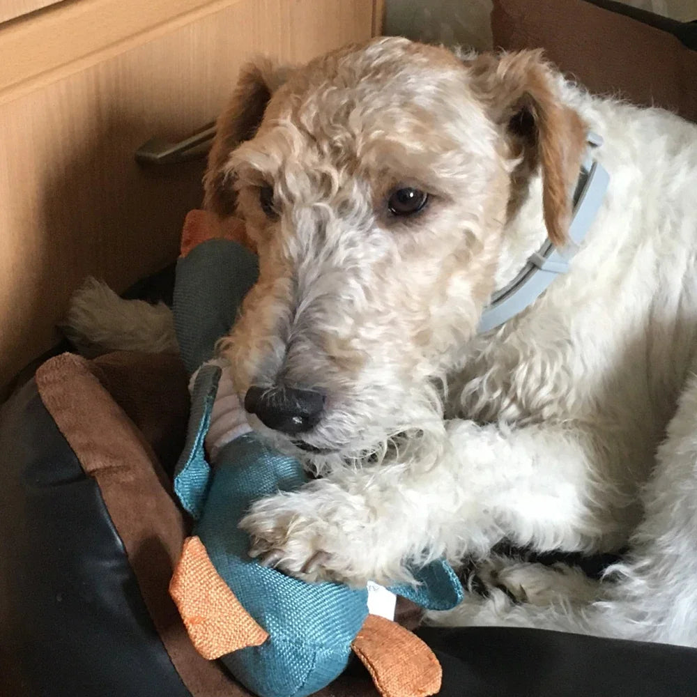 Plush Squeaky Duck Dog Toy – Soft Chew Toy for Small to Large Dogs