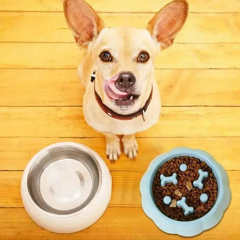 Colorful Slow Feeder Bowl for Cats & Dogs – Anti-Choking Puzzle Food Bowl for Anxiety Relief & Healthy Eating