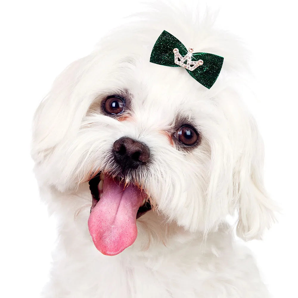 Dog Hair Clips 👑 Crystal Crown & Bow Set – 10PCS Pet Grooming Accesso