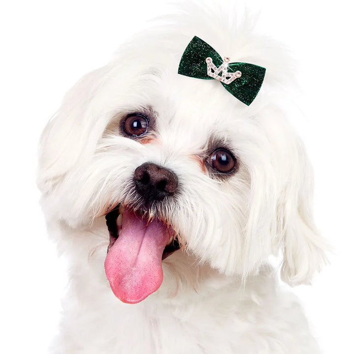 Dog Hair Clips 👑 Crystal Crown & Bow Set – 10PCS Pet Grooming Accesso