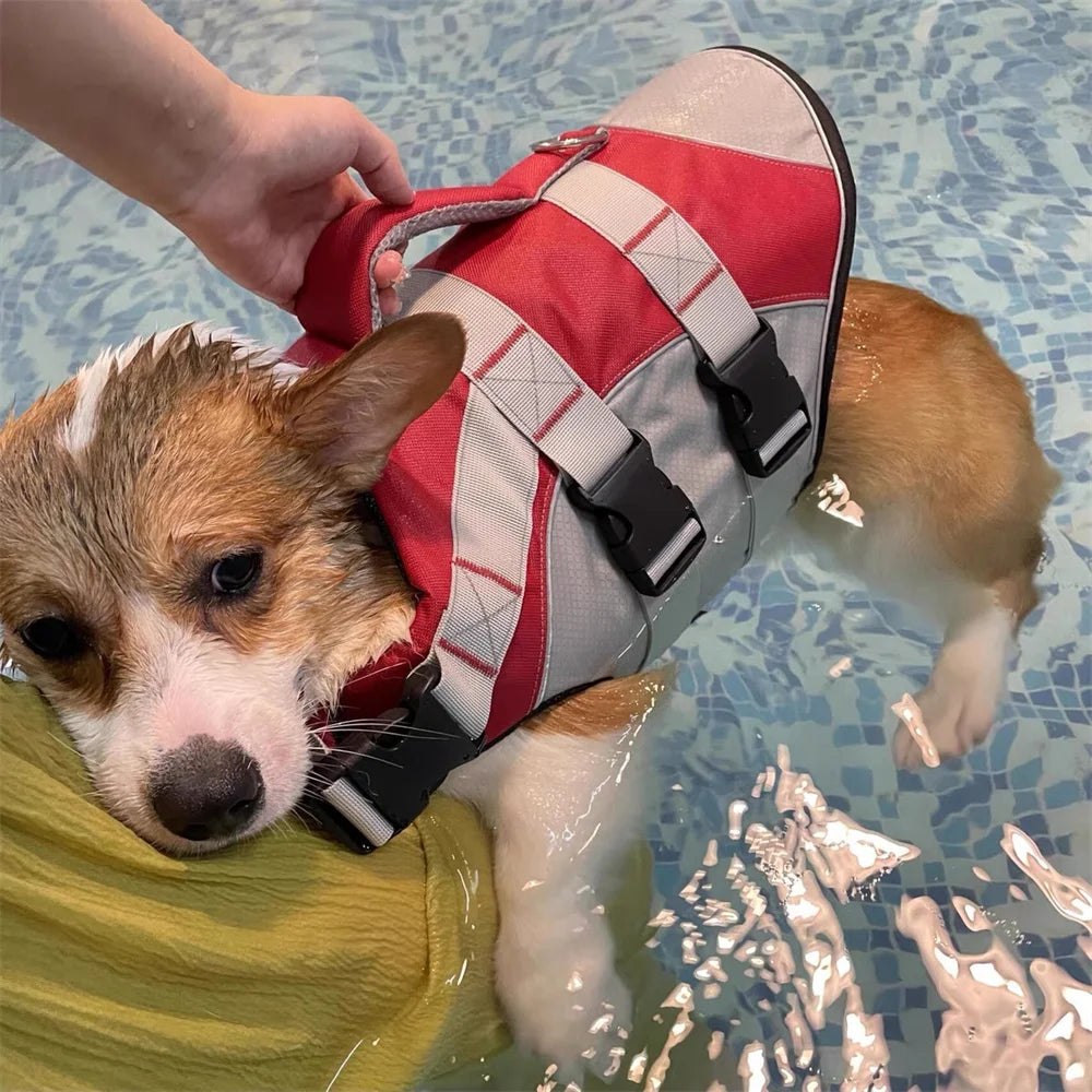 🐶 Dog Life Jacket with Handle & Pull Ring – Summer Safety Swimsuit for Small & Medium Dogs