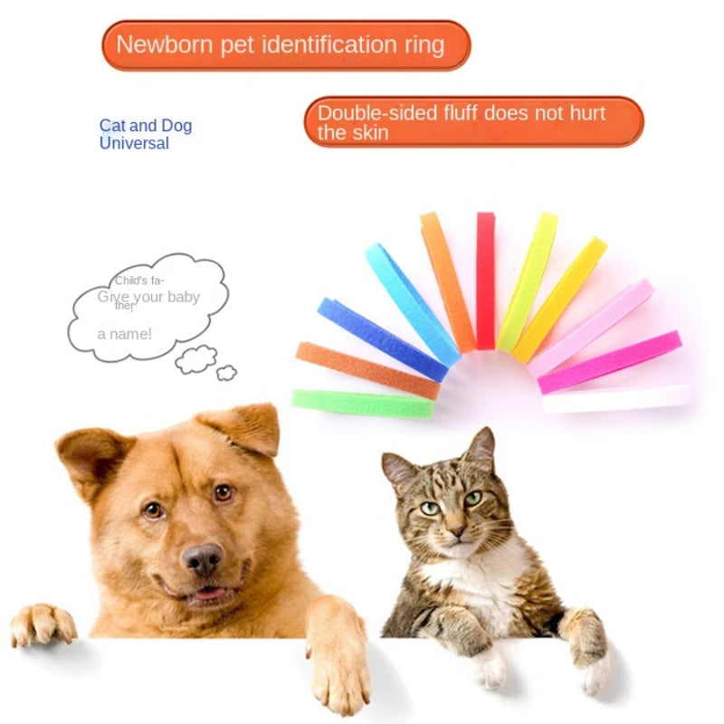 12pcs Adjustable Pet ID Collars – Hook & Loop Puppy and Kitten Identification Bands for Small Dogs & Cats