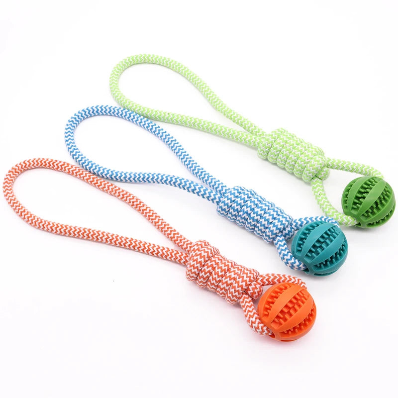Pet Tooth Cleaning Rubber Ball Toy with Rope – Leaking Treat Chew Toy for Small & Large Dogs