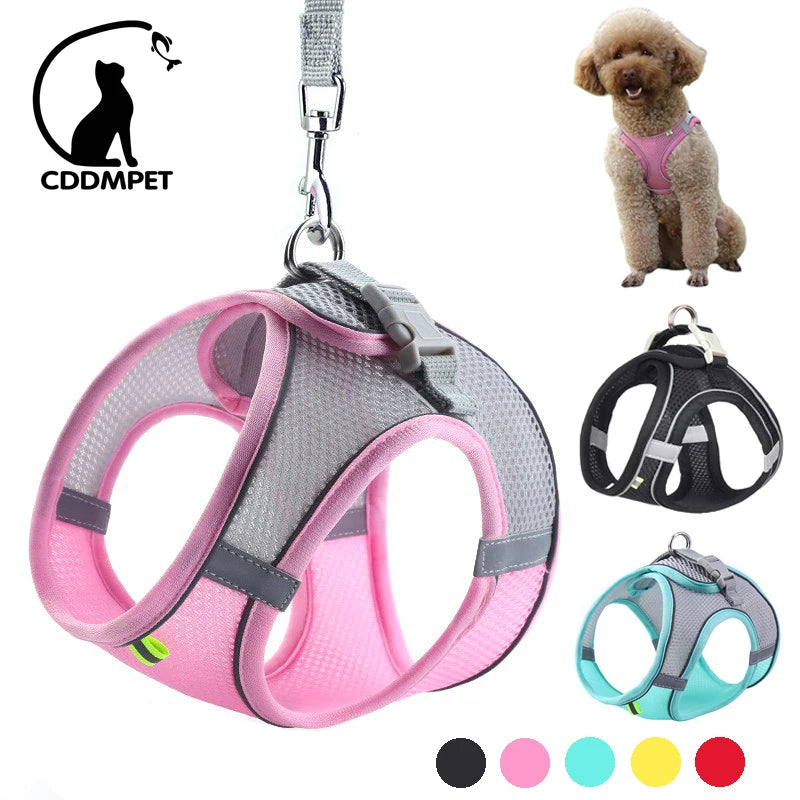 🐾 Adjustable Dog Harness & Leash Set – For Small Dogs, Cats, French Bulldogs, Chihuahuas & Pugs