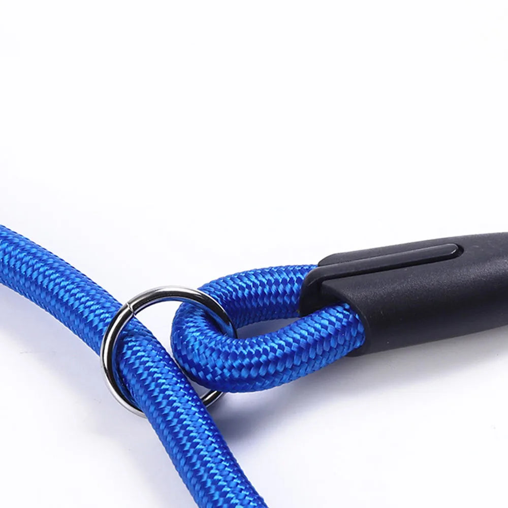 Slip Lead Dog Leash for Small Dogs – Anti-Choking P-Shaped Rope Leash for Puppy Training & Walking