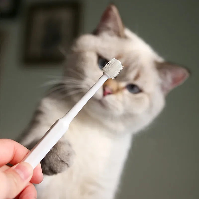 🪥 Cat Toothbrush – Soft Bristles for Gentle Teeth Cleaning | Pet Dental Care Grooming Tool