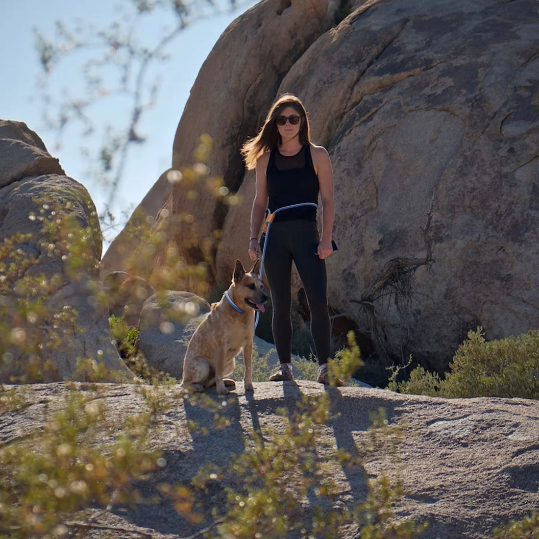 Adjustable Multi-Functional Dog Leash – Hands-free P-Chain Lead (2.1m/3m)