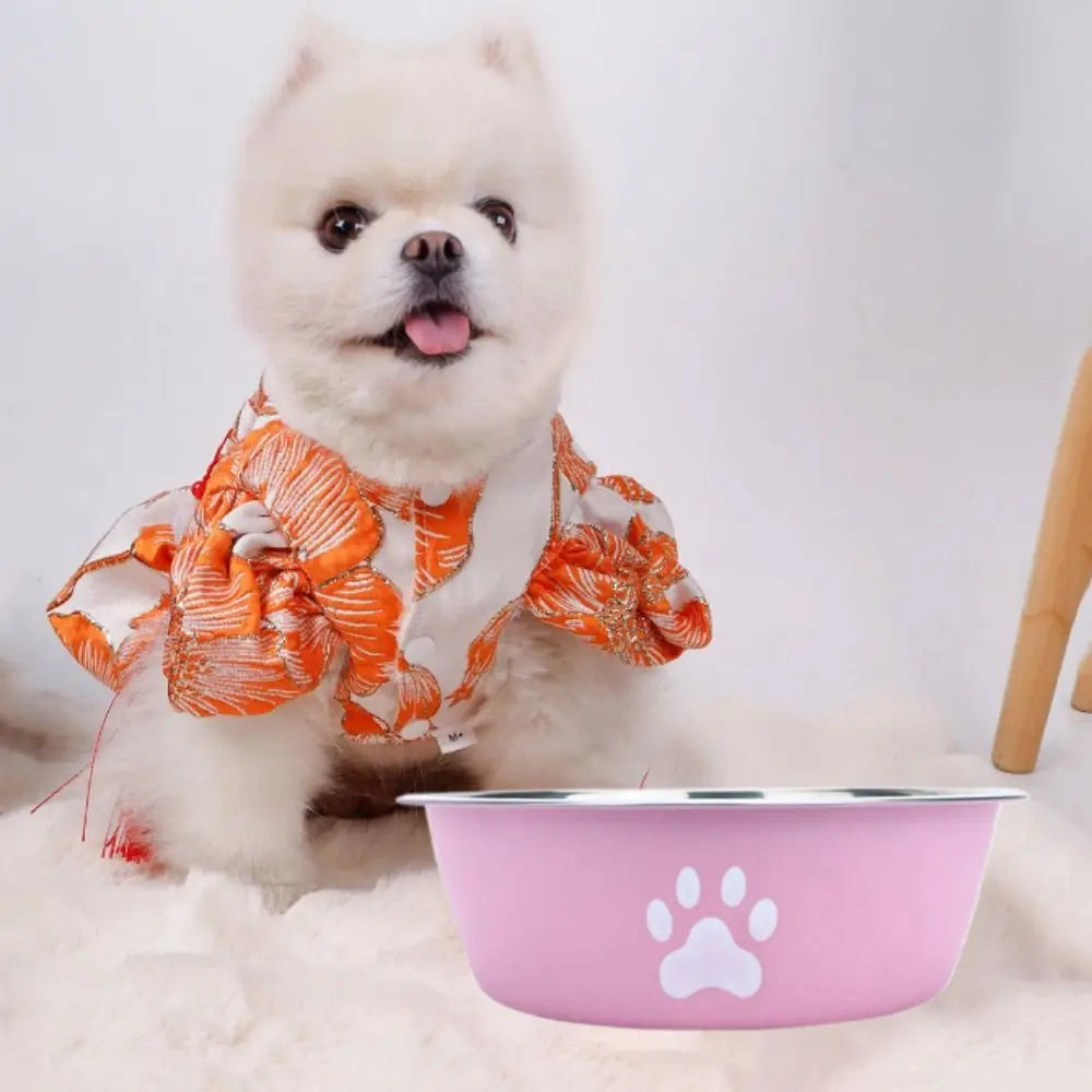 Large Capacity Stainless Steel Non-Slip Pet Bowl – Double-Layer Water & Food Bowl for Dogs & Cats