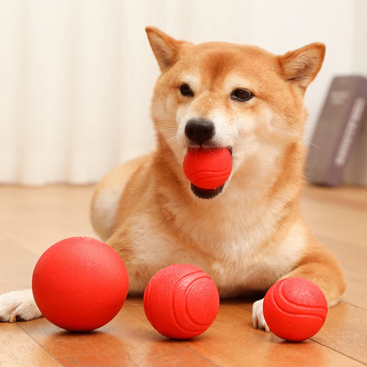 Indestructible Rubber Dog Ball – Chew-Proof Bouncy Toy (S–L Sizes)