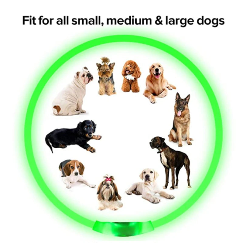 USB Rechargeable LED Glowing Pet Collar – Adjustable Night Light Safety Collar for Dogs & Cats