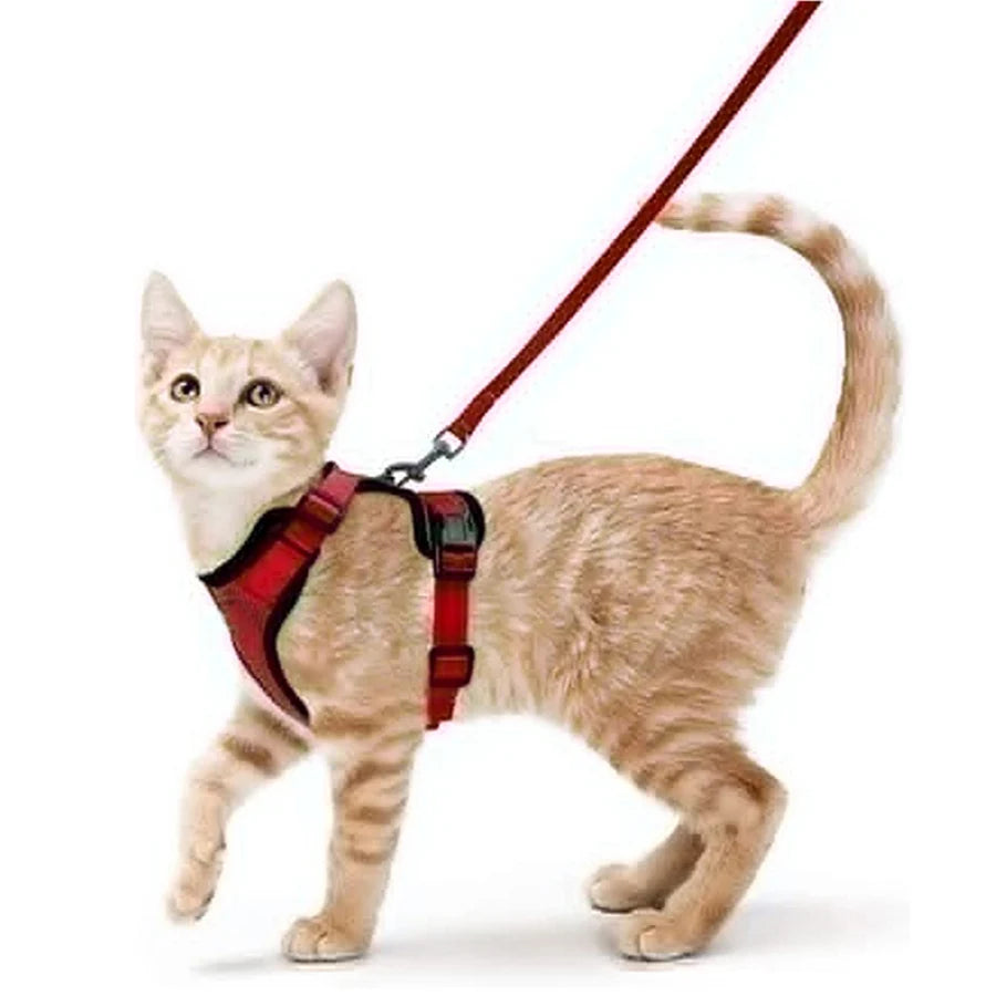 Cat Harness and Leash – Escape-Proof Soft Adjustable Vest with Easy Control