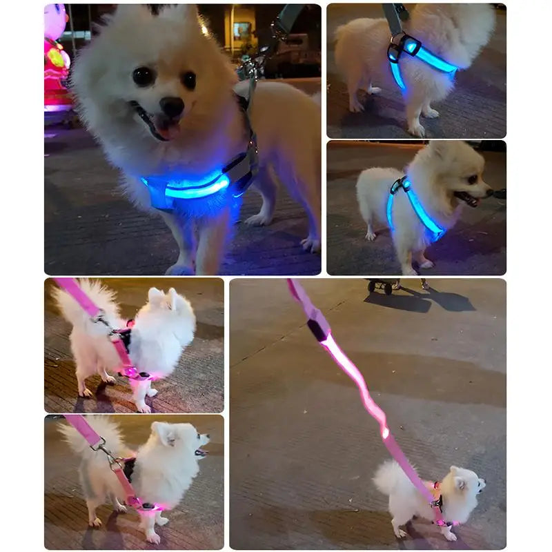 🐾 Multifunctional Reflective Dog Harness – Outdoor Training & Comfort Vest for Medium & Large Dogs