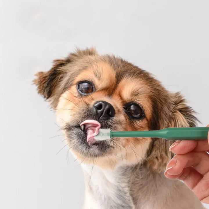 🪥 Cat Toothbrush – Soft Bristles for Gentle Teeth Cleaning | Pet Dental Care Grooming Tool