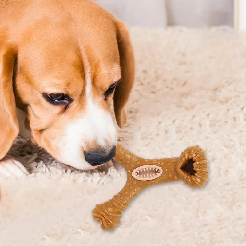 Dog Treat Dispensing Chew Toy – Bite-Resistant Food Dispenser 🐾🍖