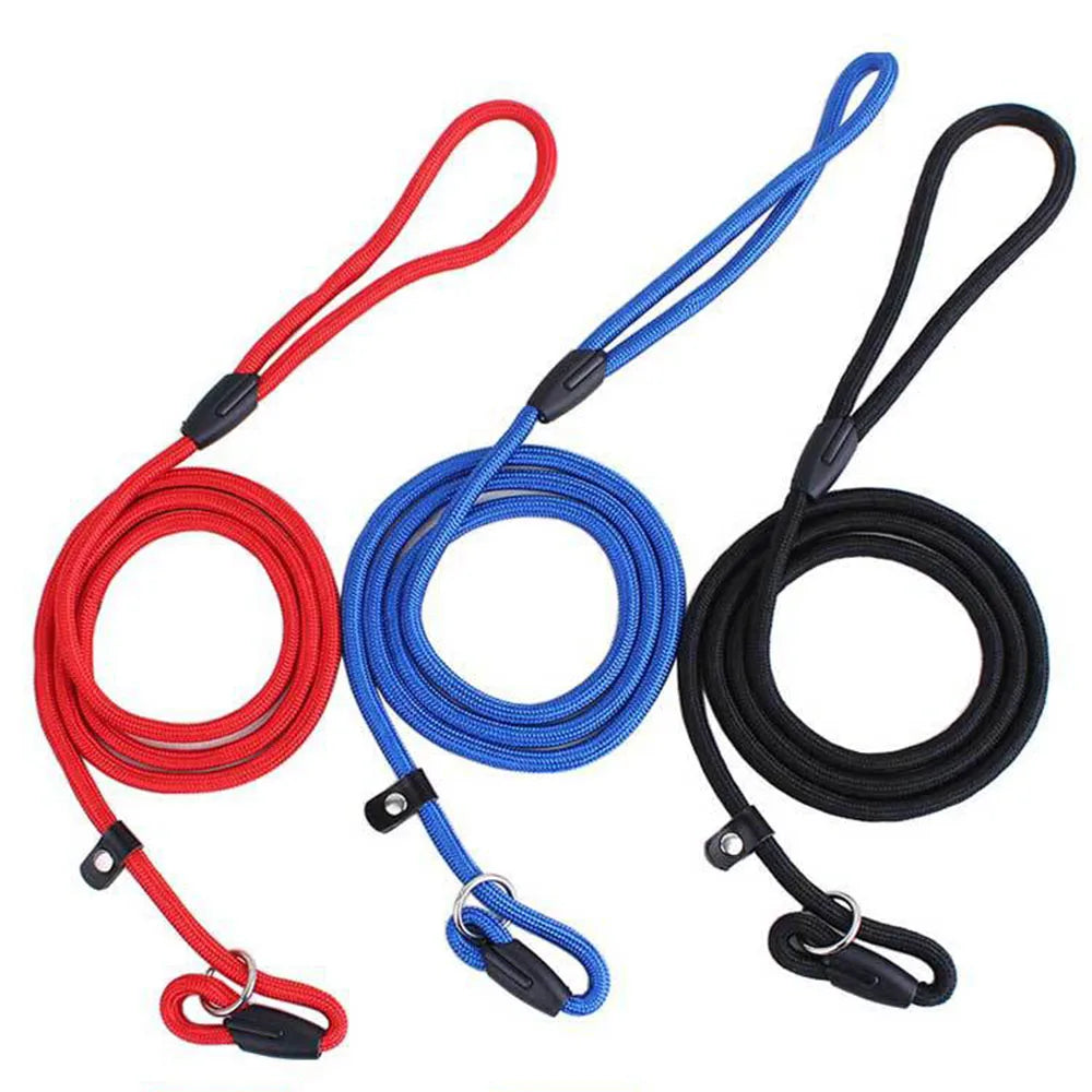 Slip Lead Dog Leash for Small Dogs – Anti-Choking P-Shaped Rope Leash for Puppy Training & Walking