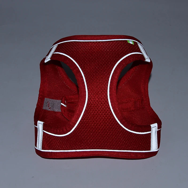 🐾 Adjustable Dog Harness & Leash Set – For Small Dogs, Cats, French Bulldogs, Chihuahuas & Pugs