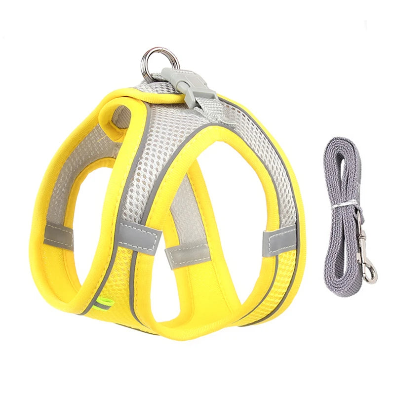 🐾 Adjustable Dog Harness & Leash Set – For Small Dogs, Cats, French Bulldogs, Chihuahuas & Pugs