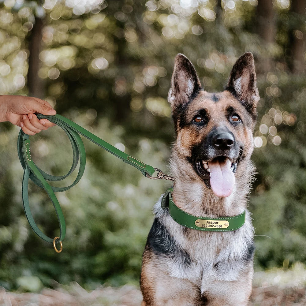 Personalized Leather Dog Collar & Leash Set – Engraved ID for Small to Large Dogs
